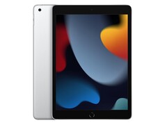 Apple iPad 9th generation, released in 2021 (Source: Apple)