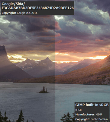 Google Skia vs sRGB color space comparison. (Image Source: Meeco.kr forum)