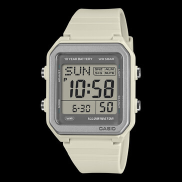 The Casio W-221H-8A.