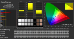 CalMAN - ColorChecker (calibrated)