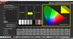 CalMAN ColorChecker (TrueColor profile: Display-P3)