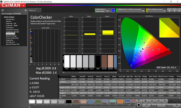 CalMAN ColorChecker (target color space P3)