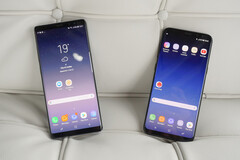 The Galaxy S8 and Note 8 are unlikely to ever receive Android 10 officially. (Image source: Phone Arena)