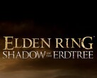 FromSoftware is in no rush to launch an Elden Ring sequel (image source: FromSoftware)