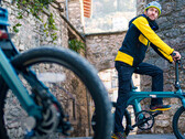 Get your loved ones to go outside by buying them an e-bike(?). (Source: Fiido)