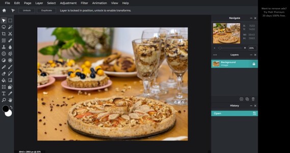 Pixlr may be a fairly decent image editor, but the sizeable ad column to the right of the web editor interface could be bothersome if you're already space-constrained. (Image source: author)