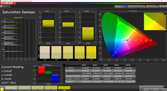 CalMAN Saturation (AdobeRGB target color space)