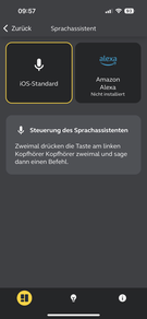 Language assistants: iOS/iPadOS