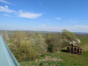 Sony Xperia 1 VI - 1x zoom (main camera)