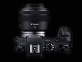 The EOS R6 will probably be sandwiched between the EOS RP, pictured, and the EOS R5. (Image source: Canon)