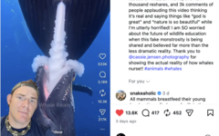 GatorChris explains in a video that whales do not nurse that way
