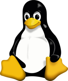 Linux Kernel 6.11 is coming, and it brings support for new hardware. (Image: Wikimedia Commons)