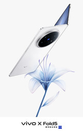 (Image source: Vivo)