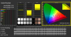 CalMAN - ColorChecker calibrated