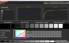 CalMAN grayscale calibrated