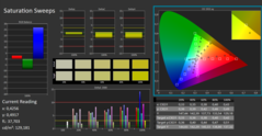 CalMAN ColorChecker saturation