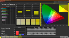 CalMAN saturation - calibrated