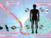 A single fiber computer integrating transistors, diodes, resistors, capacitors, and LEDs into a flexible, washable strand (Image source : Nano-Micro Letters) 
