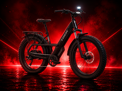 The Borrego+ is the new fat-tire electric bike from Trek