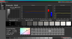 Grayscale before calibration (P3)