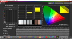 CalMAN ColorChecker (target color space P3)