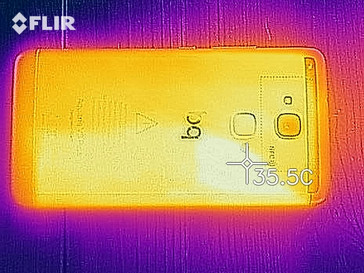 Heatmap Back