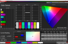 88.8% AdobeRGB colour-space coverage (2D CalMAN intersection)