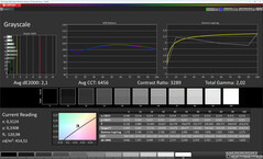 Grayscale (Color Profile: Natural, Target Color Space: sRGB) | Main Display