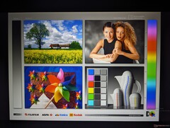 Wide IPS viewing angles. Colors and contrast degrade from extreme angles