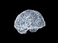 An artistic image of a brain (Image source: Shawn Day via Unsplash; edited)