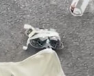 The Neo 2 could be one of several consumer drones that DJI releases this year. (Image source: Igor Bogdanov - edited)