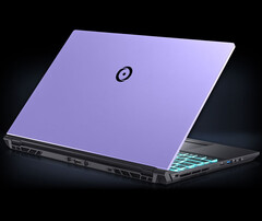 4.4 lbs weight and 0.77-inch profile (Image Source: Origin PC)