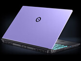 4.4 lbs weight and 0.77-inch profile (Image Source: Origin PC)