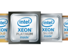 Certain Xeon Platinum SKUs will change in price soon. (Source: Intel)