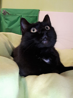 Front camera photo