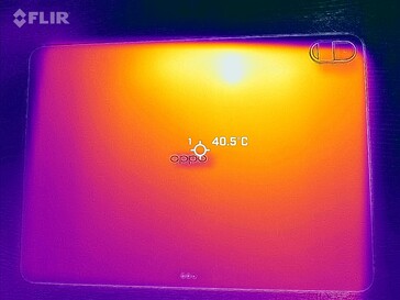 Surface temperatures: Bottom
