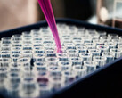 Rapid blood test promises faster answers for families facing rare genetic diseases (Image source: Louis Reed, Unsplash)
