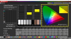 CalMAN ColorChecker (profile: sRGB, target color space: sRGB)