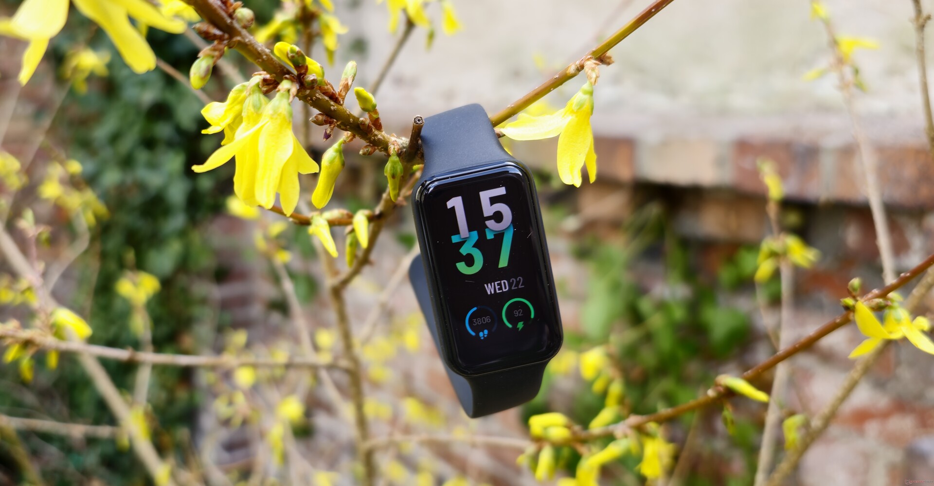 Amazfit Band 7 Review: More Than a Fitness Band?