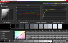 Grayscale (standard mode, target color space sRGB)