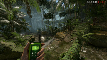 An image showing an environment in Green Hell.
