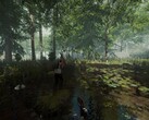 An image showing an environment in The Forest.