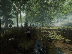 An image showing an environment in The Forest.