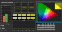 CalMan saturation calibrated