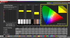 CalMAN ColorChecker (profile: P3, target color space: P3)