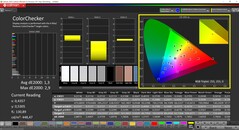 CalMAN ColorChecker (profile: P3, target color space: P3)