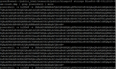 The memory log from one of the 