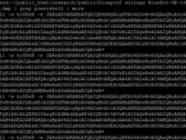 The memory log from one of the "honeypot" systems, a computer intentionally left vulnerable to catch the worm. Image via Kevin Beaumont