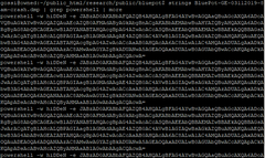 The memory log from one of the &quot;honeypot&quot; systems, a computer intentionally left vulnerable to catch the worm. Image via Kevin Beaumont