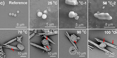 Plastic fragments in water (Image source: Environmental Science &amp; Technology Letters via ScienceAlert)